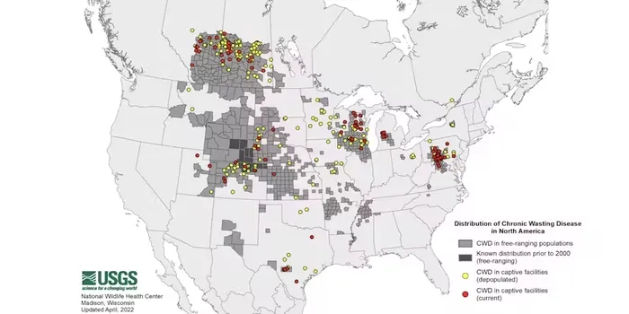 What is chronic wasting disease? A wildlife scientist explains the fatal prion infection killing deer and elk across North America