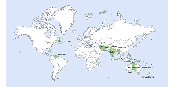 Why Are Some Time Zones 30 Minutes Off Instead of an Hour?