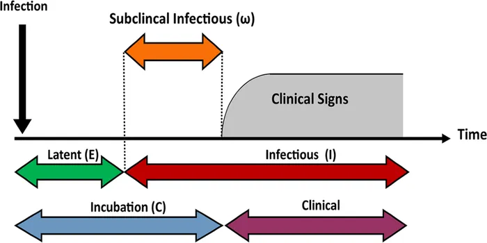 Why Is It Important to Know the Incubation Period of a Disease?