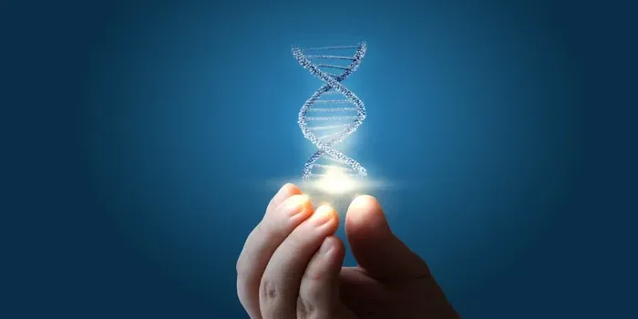 The Human Genome Project pieced together only 92% of the DNA – now scientists have finally filled in the remaining 8%