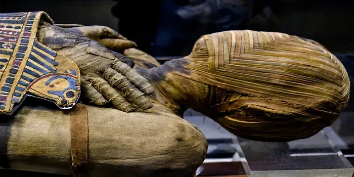 7 Surprising Uses for Mummies