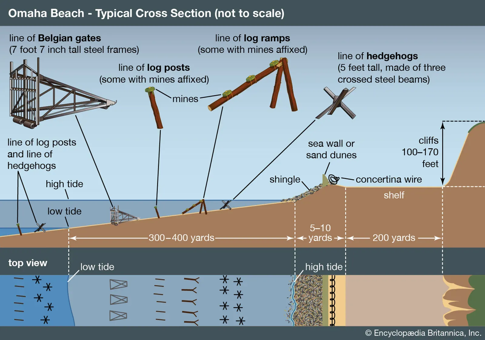 What Allied Troops Encountered at Omaha Beach During the Normandy Invasion