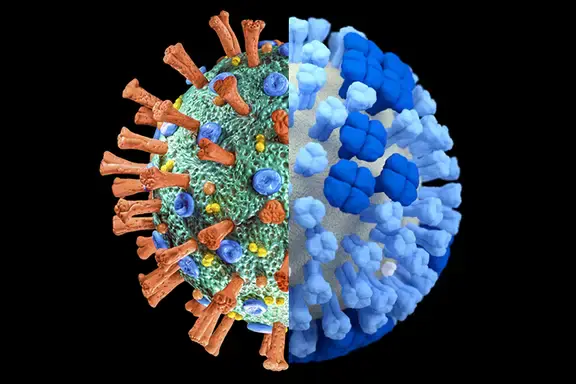 What Is the Difference Between Influenza and COVID-19?